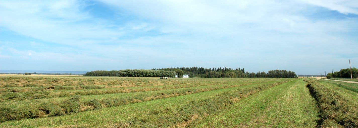 Agriculture Crop Fields